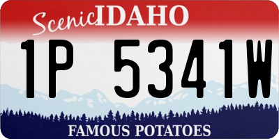ID license plate 1P5341W