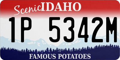 ID license plate 1P5342M