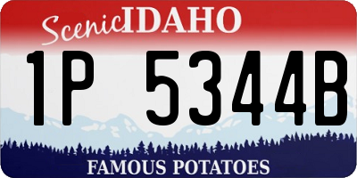 ID license plate 1P5344B