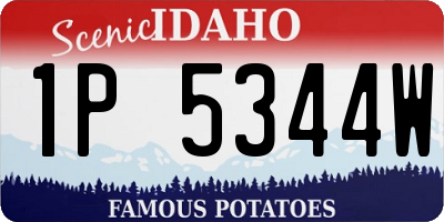 ID license plate 1P5344W