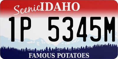 ID license plate 1P5345M