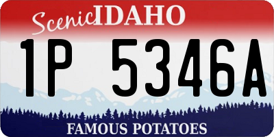 ID license plate 1P5346A