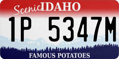 ID license plate 1P5347M