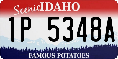 ID license plate 1P5348A