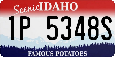 ID license plate 1P5348S