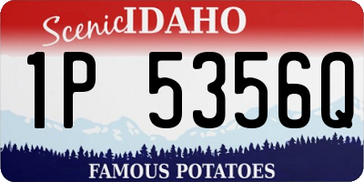 ID license plate 1P5356Q