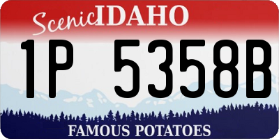 ID license plate 1P5358B