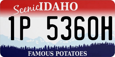 ID license plate 1P5360H