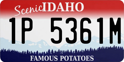 ID license plate 1P5361M