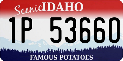 ID license plate 1P5366O