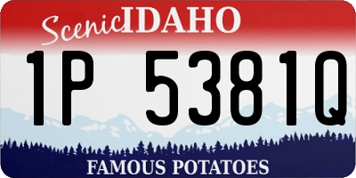 ID license plate 1P5381Q