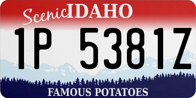 ID license plate 1P5381Z