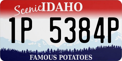 ID license plate 1P5384P