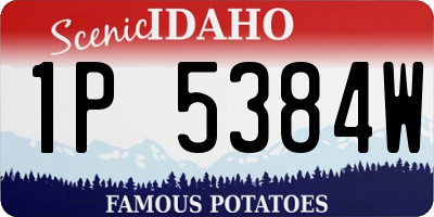 ID license plate 1P5384W