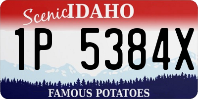 ID license plate 1P5384X