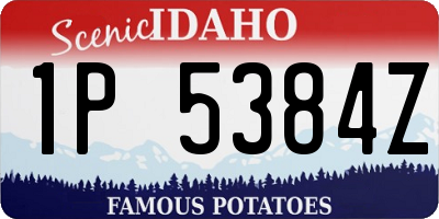 ID license plate 1P5384Z