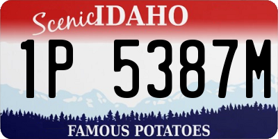 ID license plate 1P5387M