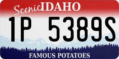 ID license plate 1P5389S