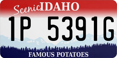 ID license plate 1P5391G