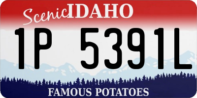 ID license plate 1P5391L