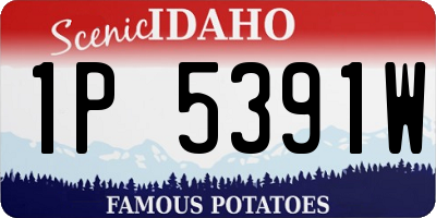 ID license plate 1P5391W