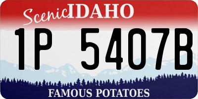 ID license plate 1P5407B