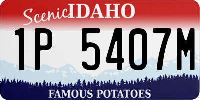 ID license plate 1P5407M