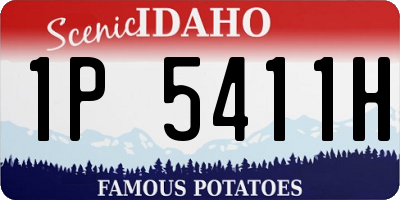 ID license plate 1P5411H