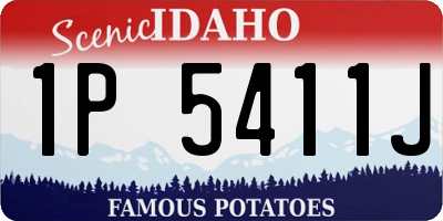 ID license plate 1P5411J