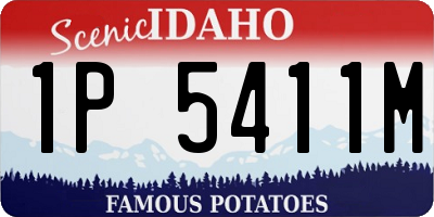 ID license plate 1P5411M