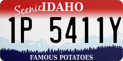 ID license plate 1P5411Y