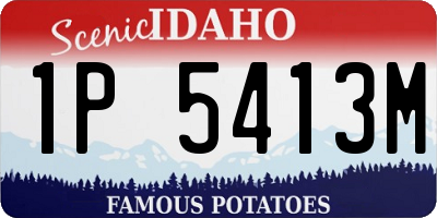 ID license plate 1P5413M