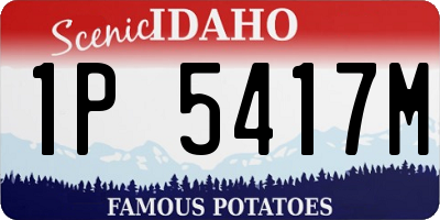 ID license plate 1P5417M