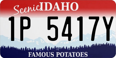 ID license plate 1P5417Y