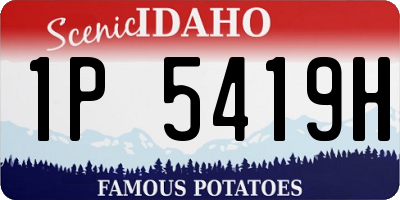 ID license plate 1P5419H