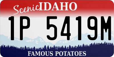 ID license plate 1P5419M