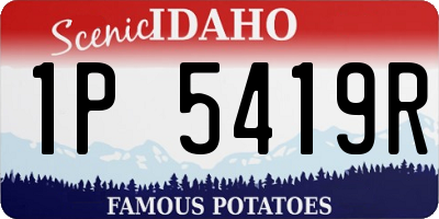 ID license plate 1P5419R