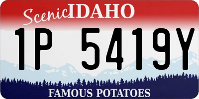 ID license plate 1P5419Y