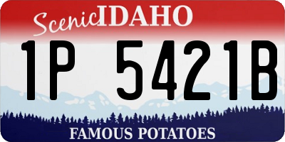 ID license plate 1P5421B