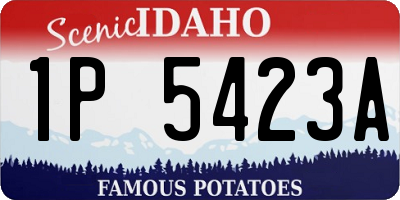 ID license plate 1P5423A