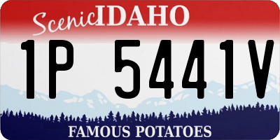 ID license plate 1P5441V