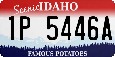 ID license plate 1P5446A