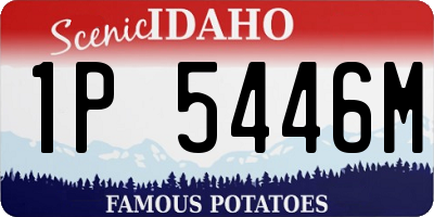 ID license plate 1P5446M