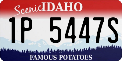 ID license plate 1P5447S