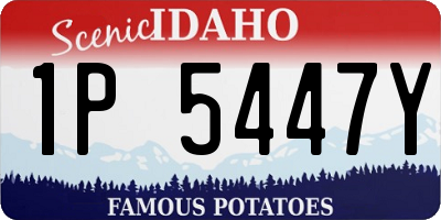 ID license plate 1P5447Y