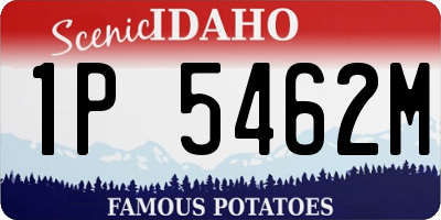 ID license plate 1P5462M