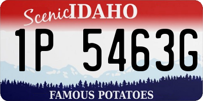 ID license plate 1P5463G