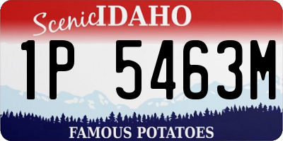 ID license plate 1P5463M