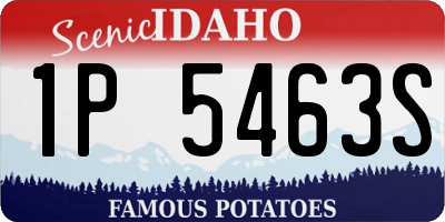 ID license plate 1P5463S