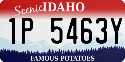 ID license plate 1P5463Y